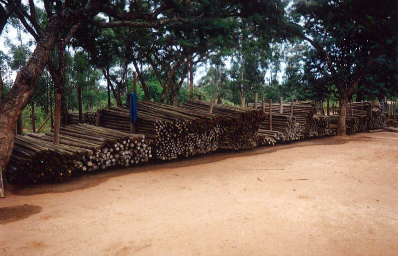 CCA treated poles stacked at a Houtkraal yard