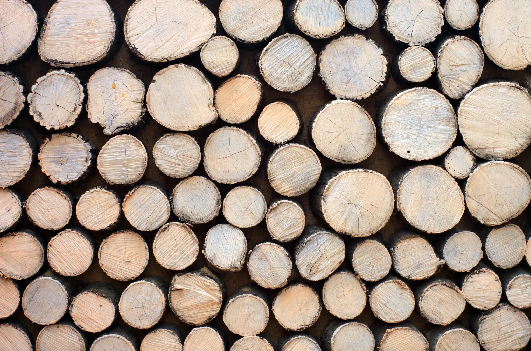 Stacked timber for picket fencing and edging