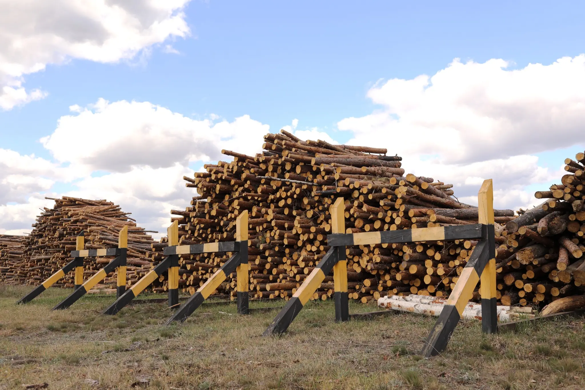 CCA treated pine poles stacked at a timber yard